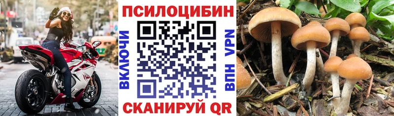 ссылка на мегу как зайти Морозовск Псилоцибиновые грибы прущие грибы дарнет шоп
